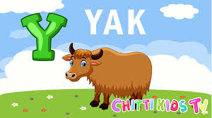 Animals Start With Y Letter By Chittikidstv Ti Kids Kids Tv Lettering Alphabet