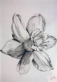 Narcissus Tattoo Narcissus Flower Tattoos Narcissus Tattoo Daffodil Tattoo