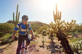 What do mcdowell sonoran conservancy volunteer stewards do? Die Besten Phoenix Mcdowell Sonoran Preserve Touren 2021 Viator