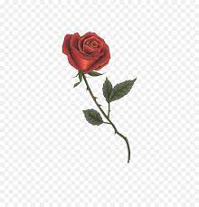 Paying tribute to a loved one or cherished author is achievable through a rose tattoo with name. Rose With Stem Tattoo Red Rose With Thorns Tattoo Png Rose Tattoo Png Free Transparent Png Images Pngaaa Com