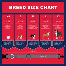 Just remember that this is an approximate rottweiler puppy growth chart. American Flag Dog Collar In 5 Different Sizes Shopping With Sharon
