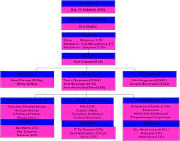 Mengenal patroli keamanan sekolah (pks) sebagai ekstrakulikuler Https Pikrskansa Blogspot Com P Struktur Organisasi Html
