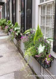 * does not absorb moisture. Window Box Flower Combinations Flower Box Ideas Inspired By Charleston Window Boxes Gardening From House To Home