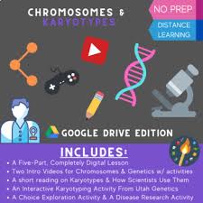 Take a look at the simulation pane. Karyotype Disorders Worksheets Teaching Resources Tpt