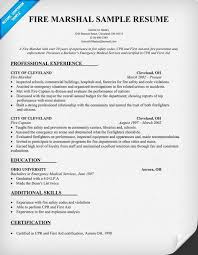 The firefighter resume template must be crisp, matter of fact and professional. Curriculum Vitae For Fire Service Fire Chief Resume Examples