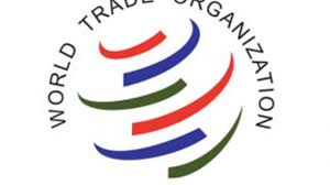 5 Organisasi Regional Dan Global Di Dunia Sejarah Lengkap