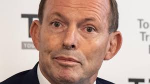 NSW election 2019: Truth about what shock Manly result means for Tony  Abbott