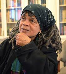 BlackStar Projects Annual Report 2022 by BlackStar Projects, Inc.