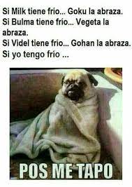 Memes Mexicanos Memes Funny Spanish Memes Book Memes