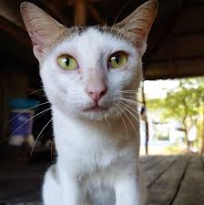 Happy Birthday to me 🥳🧁