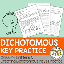 Dichotomous Key Practice Distance Learning Dichotomous Key Life Science Lessons Teaching Middle School Science
