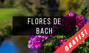 Maybe you would like to learn more about one of these? 15 Libros De Flores De Bach Gratis Pdf Infolibros Org