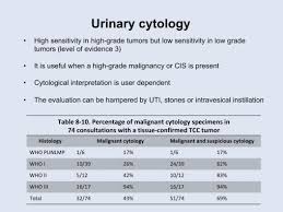 We did not find results for: Management Of Patients With Normal Cystoscopy But Positive Cytology Or Urine Markers European Urology Oncology
