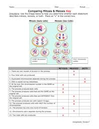 Comparing mitosis and meiosis answers mitosis and meiosis are two of … › verified just now. Meiosis Terminology Answers In Meiosis A Cell Divides Twice But The Chromosome Most Plant And Animal Cells Are Diploid Elinor Raske