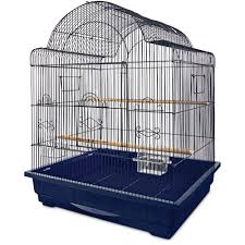 Pet goods pet food supplies and accessories with personal from pet stores that sell kittens near me. Pin By Shar Mag On Animals Bird Cages For Sale Parrot Cage Bird Cage Stand