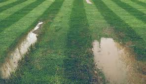We're going to teach how to do exactly that in this article. How To Avoid Ruts In Your Yard When You Mow Tirebuyer Com