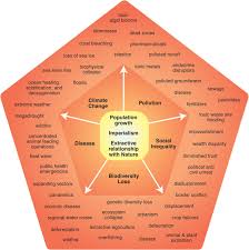 Dr. William J. Ripple