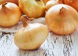 Growing Onions In Aquaponics Howtoaquaponic