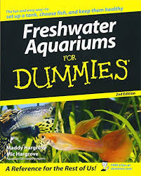 What is the best fish to start an aquarium? 8 Best Freshwater Fish For Beginners Ultimate Guide To Picking Your First Fish