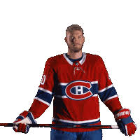 Officially known as club de hockey canadien, the montreal canadiens (french: Canadiens De Montreal Gifs Find Share On Giphy