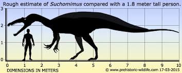 Image result for Suchomimus