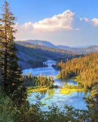 Obituary information for Errol Lee Hill