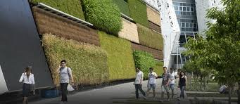 Ù…Ø¹Ù„ÙˆÙ…Ø§Øª Ø­ÙˆÙ„ Ø§Ù„Ø¬Ø¯Ø§Ø± Ø§Ù„Ø§Ø®Ø¶Ø± ØªØµÙ…ÙŠÙ… Ø¬Ù…Ø§Ù„ÙŠ Ø®Ù„Ø§Ø¨ ØµØ¯ÙŠÙ‚ Ù„Ù„Ø¨ÙŠØ¦Ø© Ù…Ø§ÙŠ Ø¨ÙŠÙˆØª