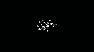 Wallpapers blue black laptop flower white 1366x768. 1920x1080 Birds Flying Minimalist Dark 4k Laptop Full Hd 1080p Hd 4k Wallpapers Images Backgrounds Photos And Pictures