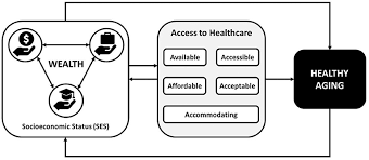 A review of the empirical evidence and implications for clinical practice. Frontiers Socioeconomic Status And Access To Healthcare Interrelated Drivers For Healthy Aging Public Health