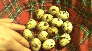 Pickled Eggs From Pickle Juice Youtube