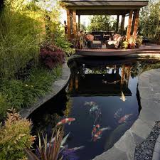 Yes, you heard it right, this diy koi pond comes with a mini waterfall. Beautiful Diy Koi Pond Ideas You Can Create To Add Beauty To Your Gardens Koi Pond Designs Designs No 1493 Koi Pond Design Pond Design Koi Pond Backyard