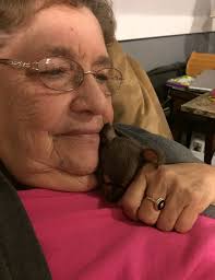 Obituary information for Hilda Lee Bergdoll