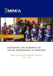 PDF) Exploring the Dynamics of Social Enterprises in Tanzania