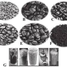 Need a coffee maker with grinder? Pdf Processing Technology And Potential Health Benefits Of Coffee