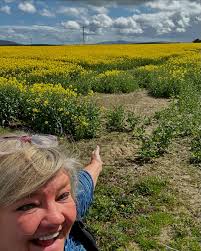 Rapeseed blooming in Magilligan with Binevenagh in background. Great to see  clear evenings and sunshine !