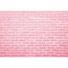 Laeacco الوردي الطوب جدار الطفل حفلة عيد ميلاد ديكور المنزل صورة