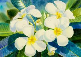 Check spelling or type a new query. Pittura Acquerello Originale Realistico Fiore Bianco Di Fiori Frangipani E Foto D Archivio Crushpixel