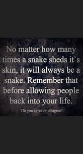 Quotes Disrespect Don T Bite The Hand That Feeds You Funny Quotes Sarcasm Relationships Words 36 Ideas For 2019 Funny Quotes Life Quotes Sarcastic Quotes