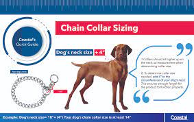 Prong collars exist for a reason, and many people(even dog lovers) will swear by them. Product Detail Coastal Pet Products