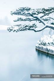 Garden open may 1 through october 31, 2020. Snow Covered Tree In Japanese Garden Chicago Botanic Gardens Illinois America Usa Tourism Tranquility Stock Photo 232590258