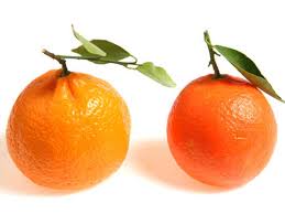 Follow the step by step instructions on how to get your orange pac code: What S The Difference Between Orange And Kinnow The Times Of India