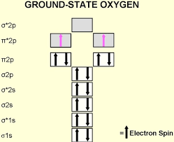 Electron Configuration Of The Diatomic Oxygen Molecule Atomic Oxygen Download Scientific Diagram