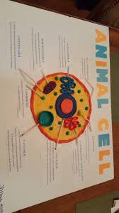 An animal cell is a type of cell that differs from plant or fungi cells. Animal Cell Project Play Doh 7th Grade Printed The Names And Used Bendy Straws Cells Project Animal Cell Project Animal Cell Activity