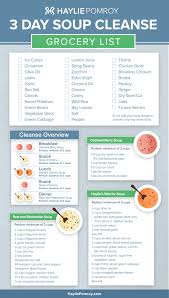 Haylie S 3 Day Soup Cleanse Soup Cleanse Fast Metabolism Diet Healthy Detox Cleanse