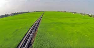 New ui elements and a live. Iot Precision Farming In Malaysia