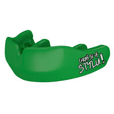 Image result for ochrana chrupu