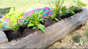 We did not find results for: These Log Planters Are Surprisingly Easy To Make Simplemost