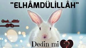 Ayet Hadis Dua En Guzel Ozlu Sozler Ibretlik Hikayeler Www Insanpsikolojisi Net Insan Psikolojisi Dualar Ozlu Sozler Islam