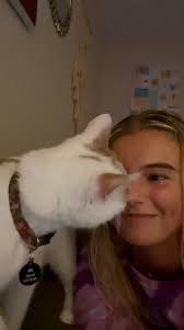 Animal advocate lawyers for pro-bono or contingency cases