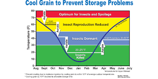 Long Term Grain Storage Requires Management Morning Ag Clips